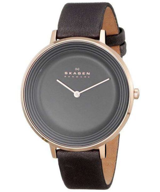 Skagen Ditte Quartz Grey Dial SKW2216 Womens Watch