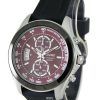 Seiko Quartz Chronograph SNN263 SNN263P1 SNN263P Mens Watch