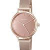 Skagen Anita Mirror Steel Mesh Quartz SKW2413 Women's Watch